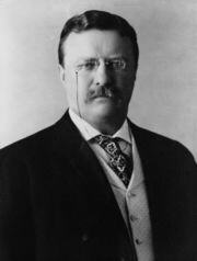 Theodore Roosevelt, der amerikanische Präsident